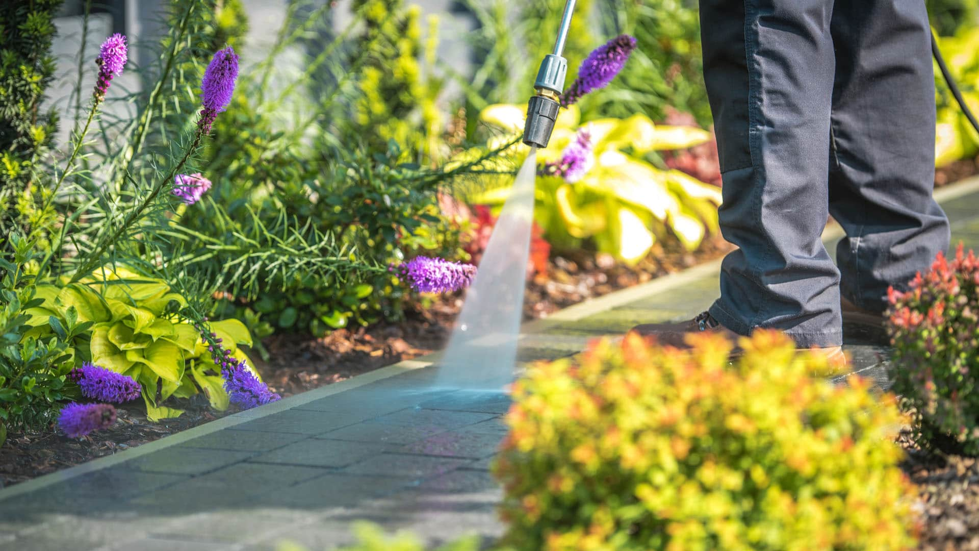 Pressure Washing Banner Image